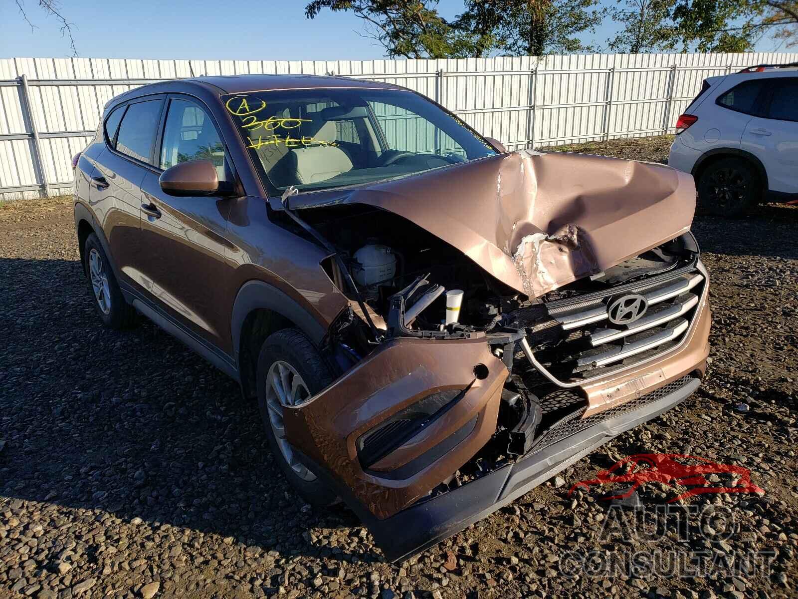 HYUNDAI TUCSON 2016 - KM8J23A41GU044587
