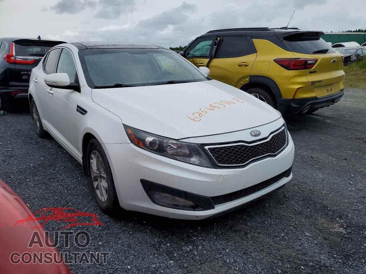 KIA OPTIMA 2012 - KNAGM4A71C5264547