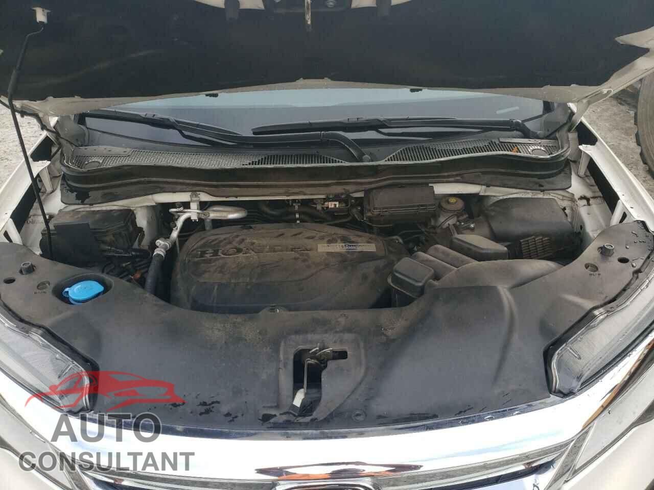 HONDA PILOT 2019 - 5FNYF5H98KB007574