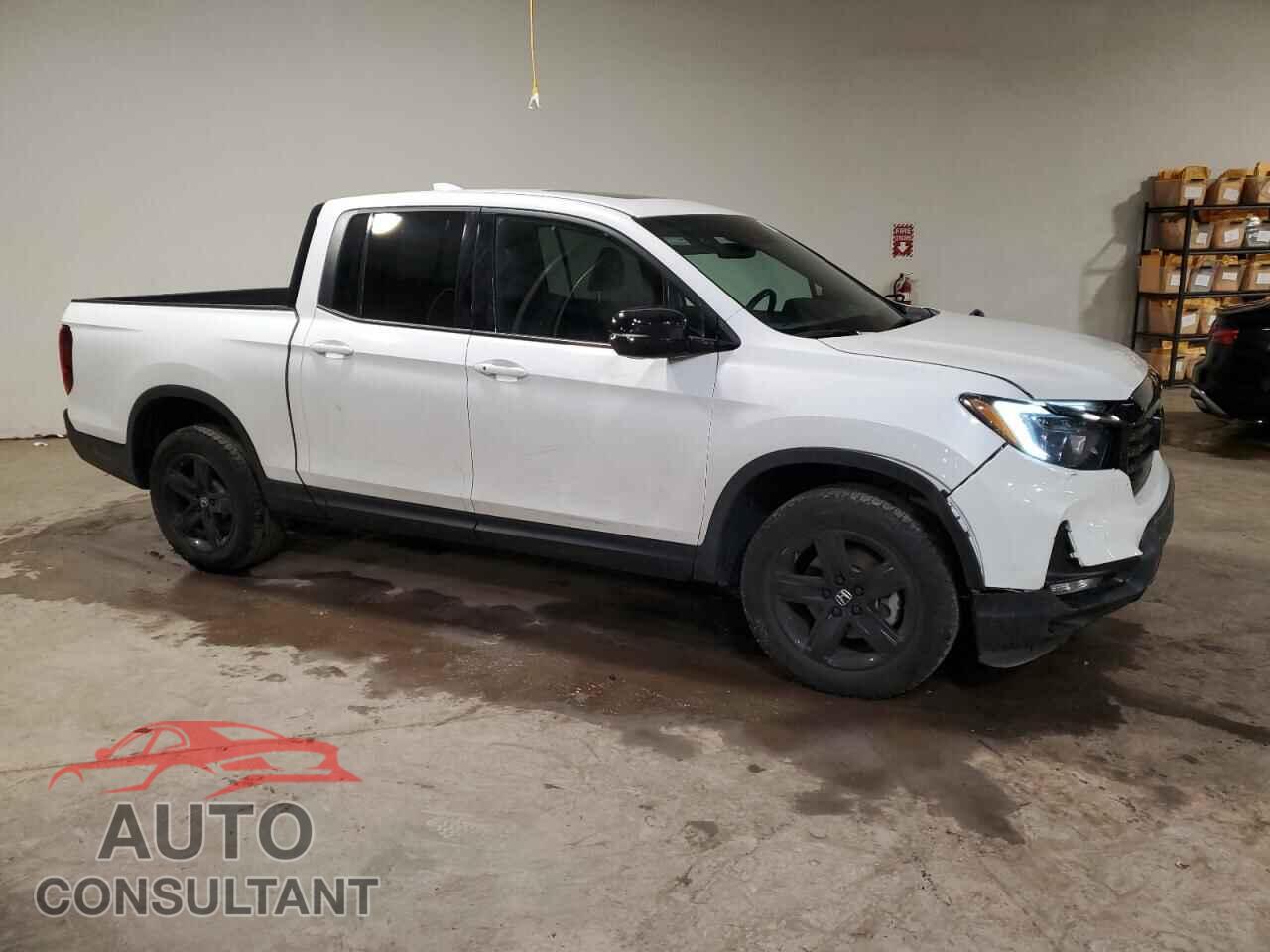 HONDA RIDGELINE 2023 - 5FPYK3F81PB061002