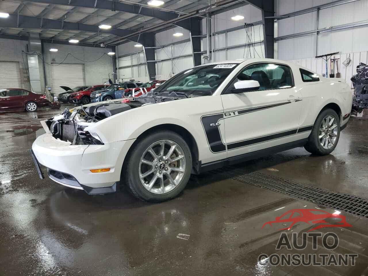 FORD MUSTANG 2011 - 1ZVBP8CF6B5100545
