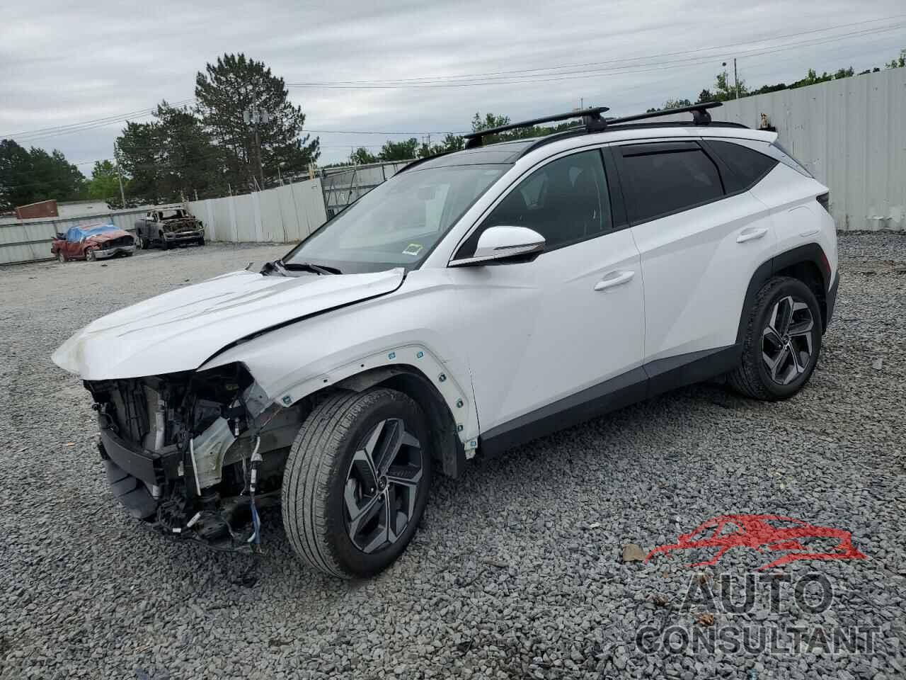 HYUNDAI TUCSON 2024 - 5NMJECDE6RH370749