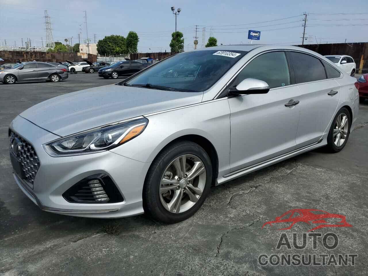 HYUNDAI SONATA 2019 - 5NPE34AF6KH800959