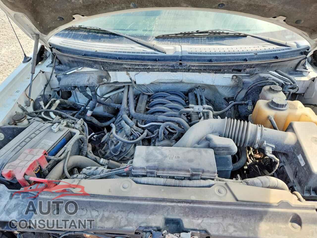 FORD F150 2012 - 1FTFX1EF4CFB66936