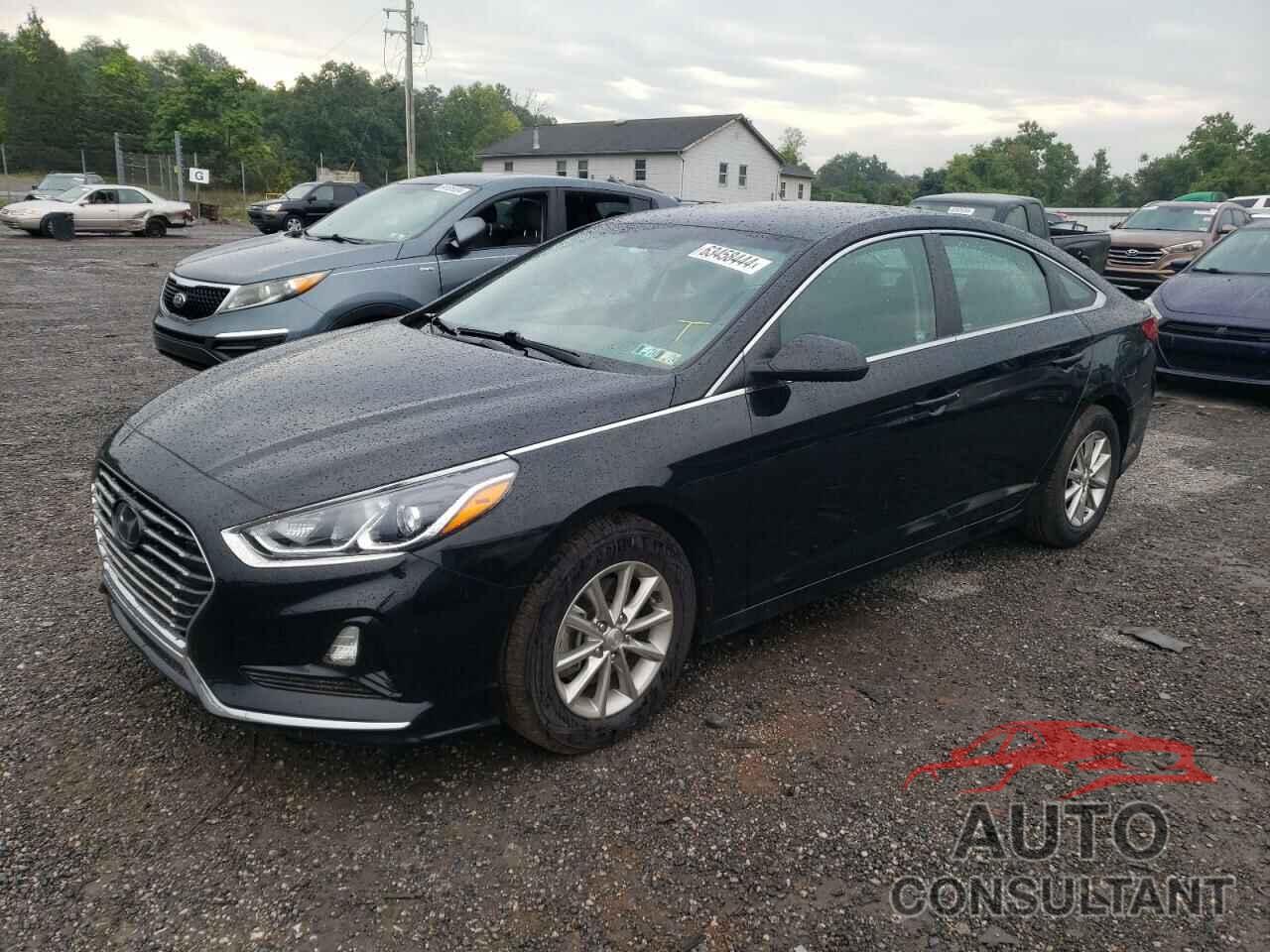 HYUNDAI SONATA 2019 - 5NPE24AFXKH794229