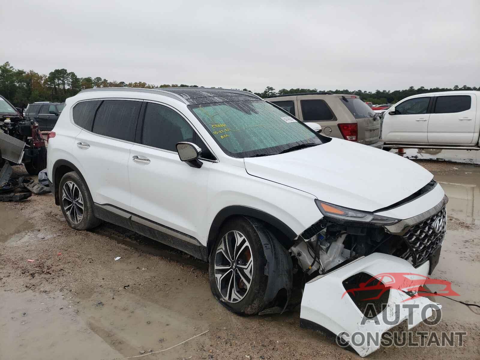 HYUNDAI SANTA FE 2020 - 5NMS53AA1LH282981