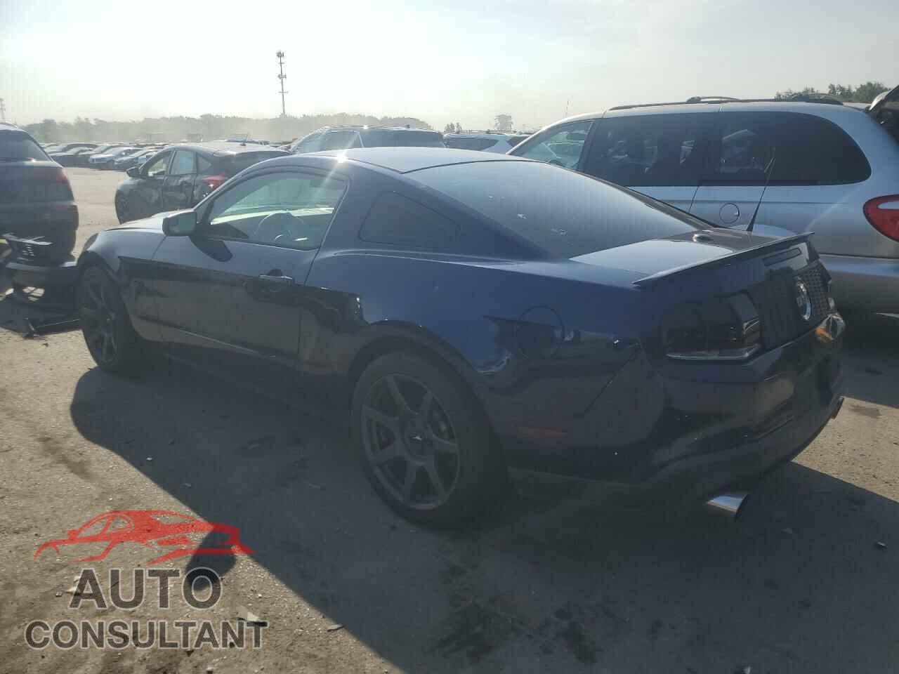 FORD MUSTANG 2011 - 1ZVBP8CFXB5134973
