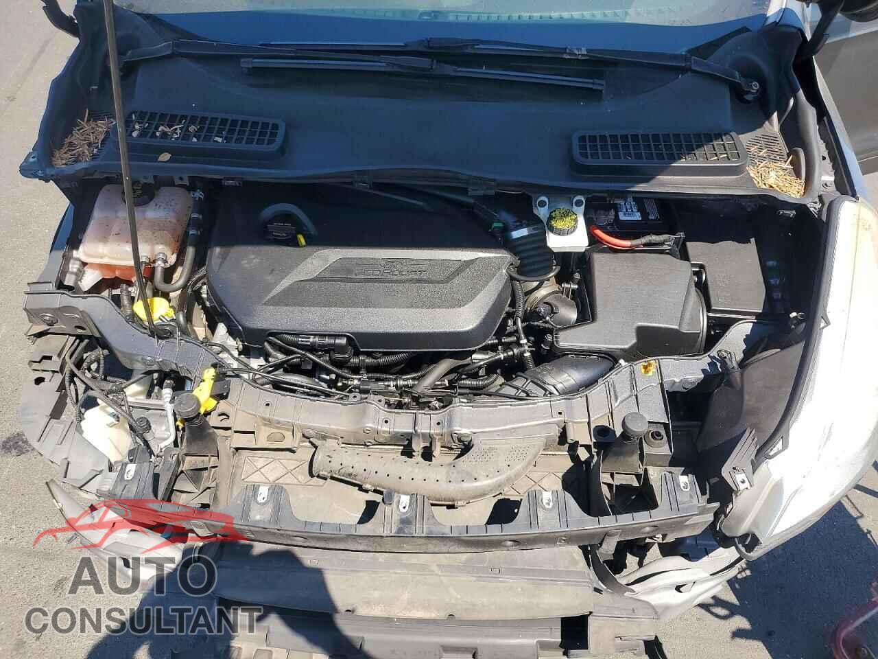 FORD ESCAPE 2014 - 1FMCU0GX4EUB99148