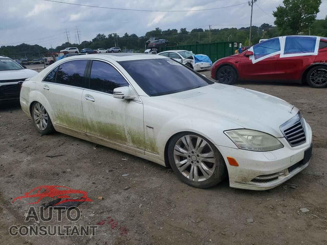 MERCEDES-BENZ S-CLASS 2010 - WDDNG9FB2AA311090