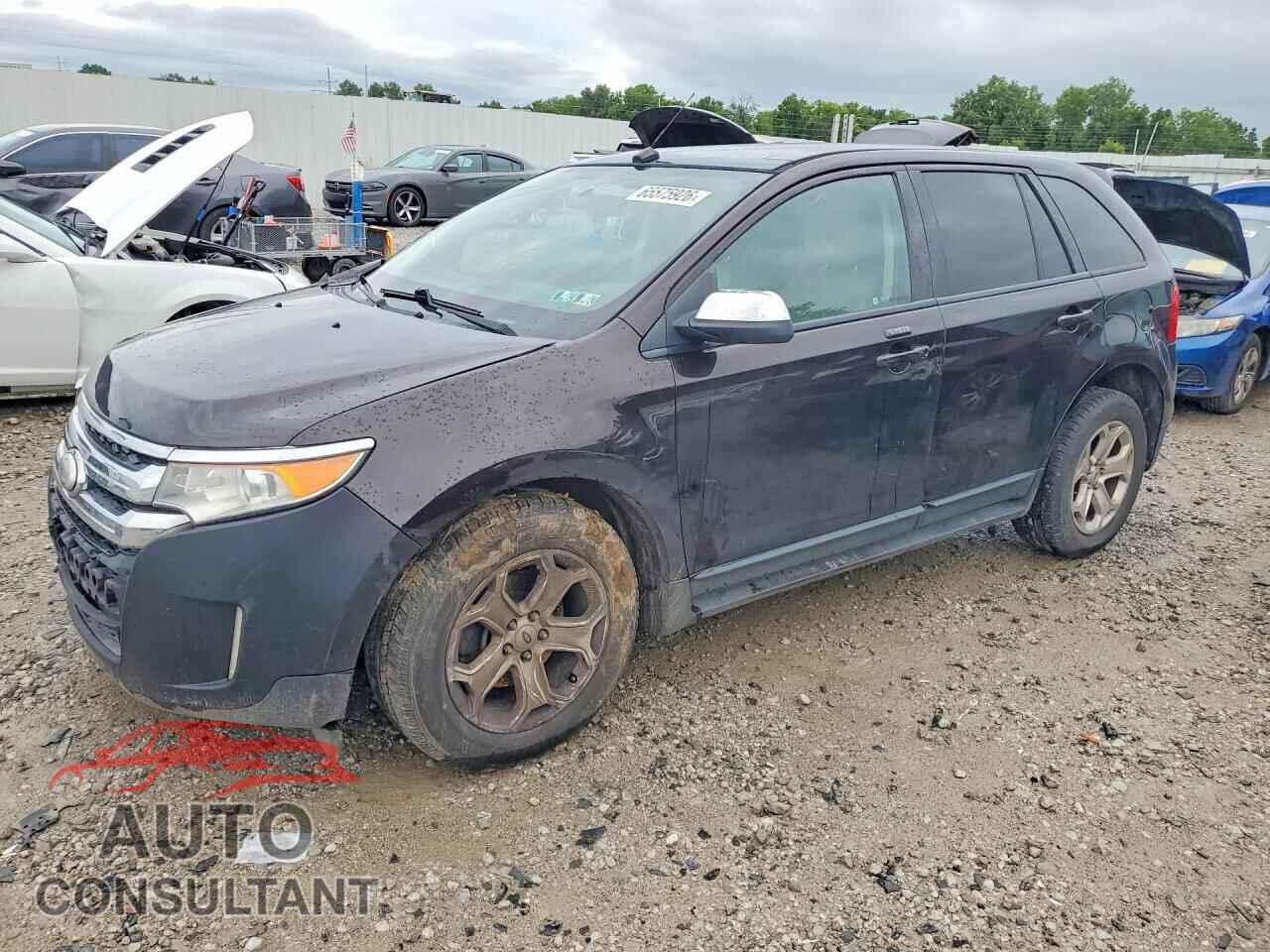 FORD EDGE 2014 - 2FMDK3J99EBA49533