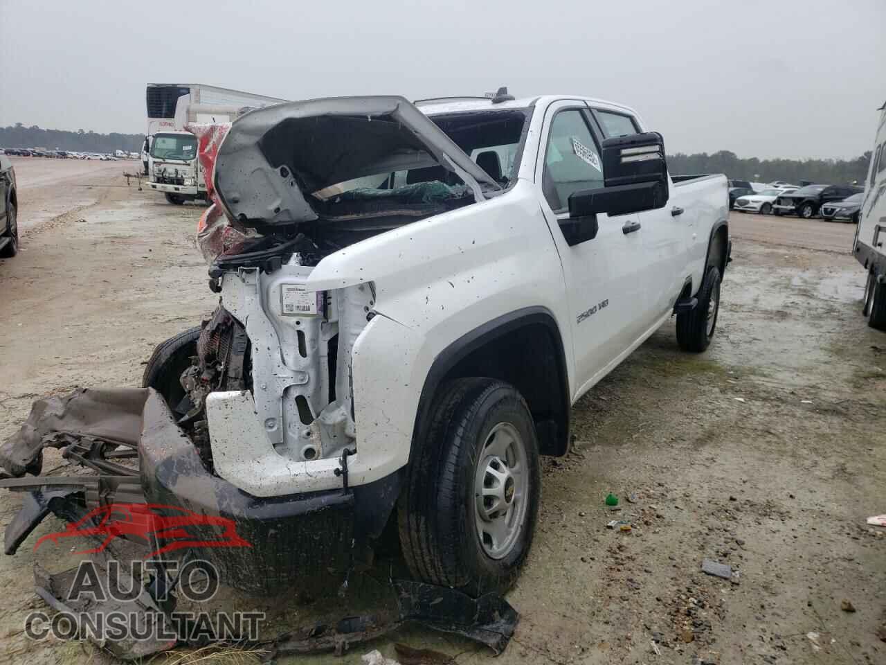 CHEVROLET SILVERADO 2021 - 1GC1YLE75MF114891