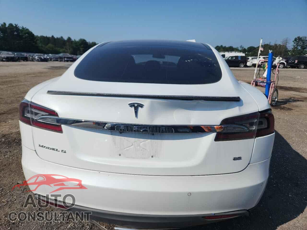 TESLA MODEL S 2014 - 5YJSA1H19EFP61921