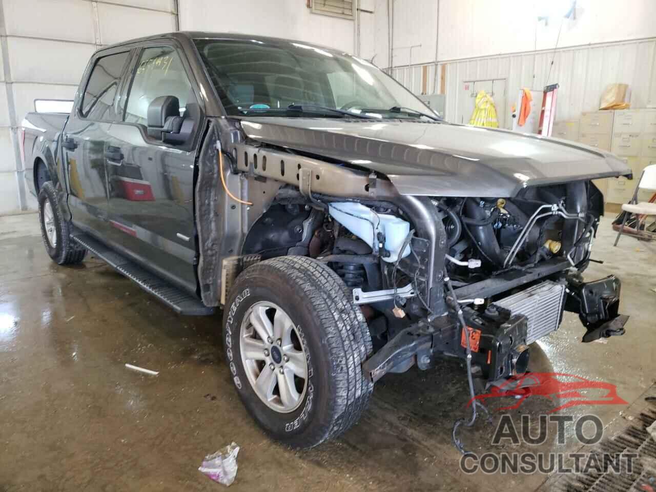 FORD F-150 2016 - 1FTEW1EPXGFA85663