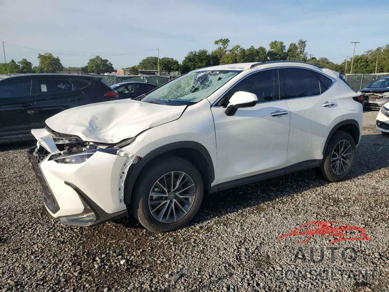 LEXUS NX 250 BAS 2024 - JTJADCAZ5R2008682