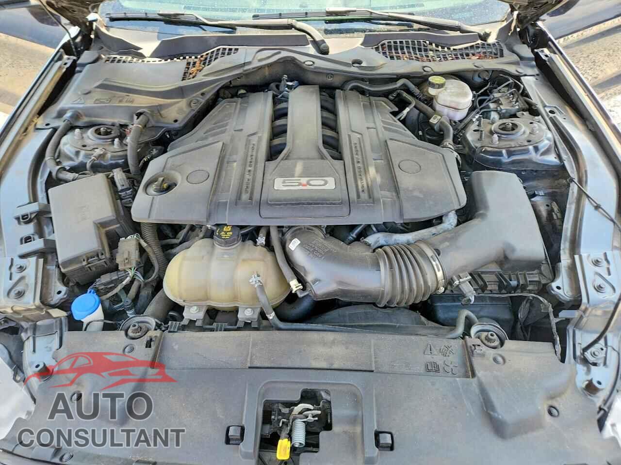 FORD MUSTANG 2021 - 1FA6P8CF6M5113194
