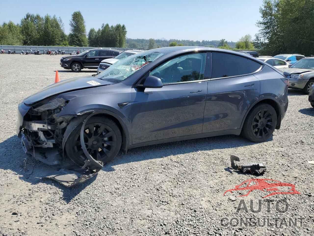 TESLA MODEL Y 2021 - 5YJYGDEE6MF097755