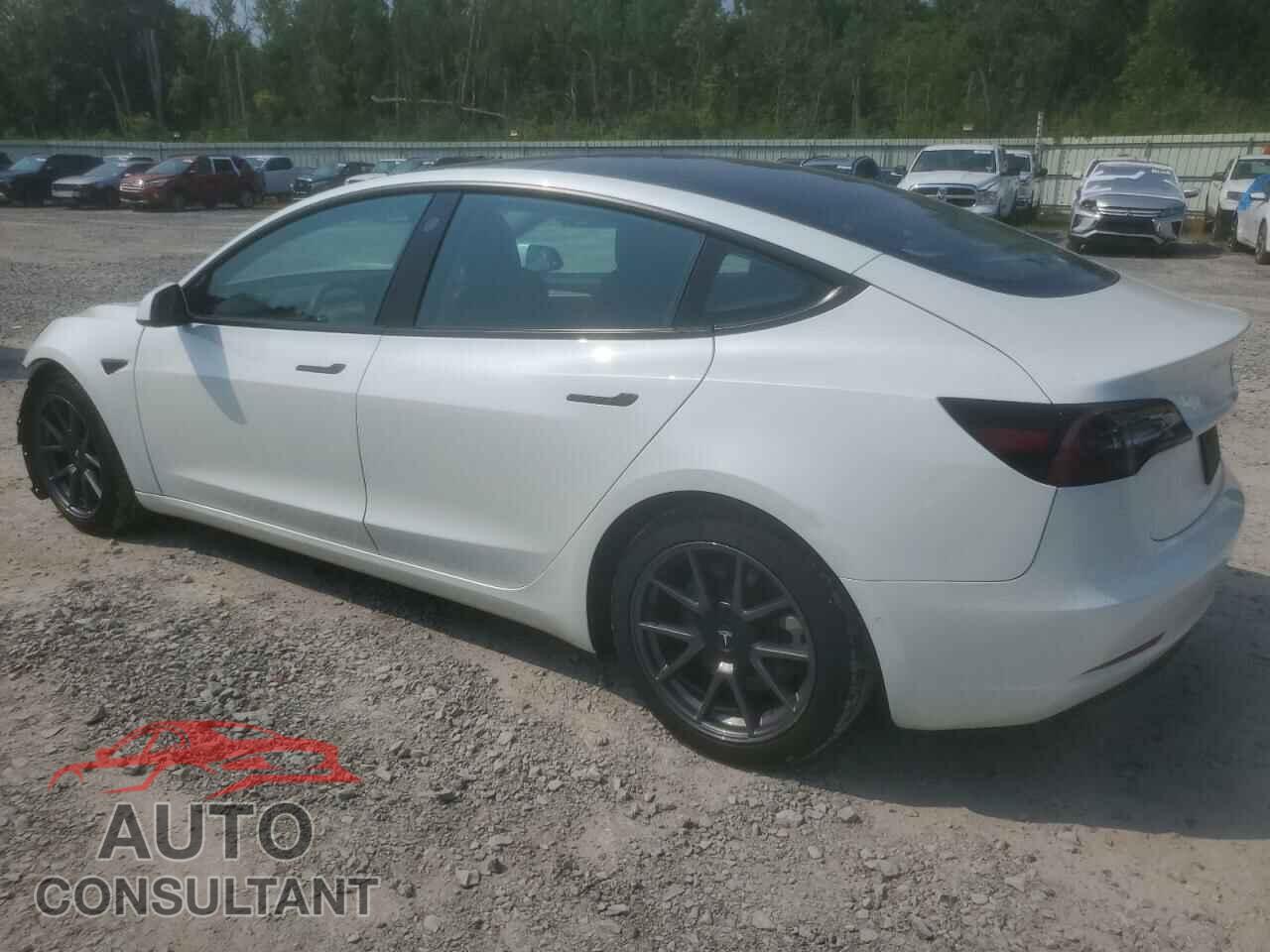 TESLA MODEL 3 2022 - 5YJ3E1EBXNF106883