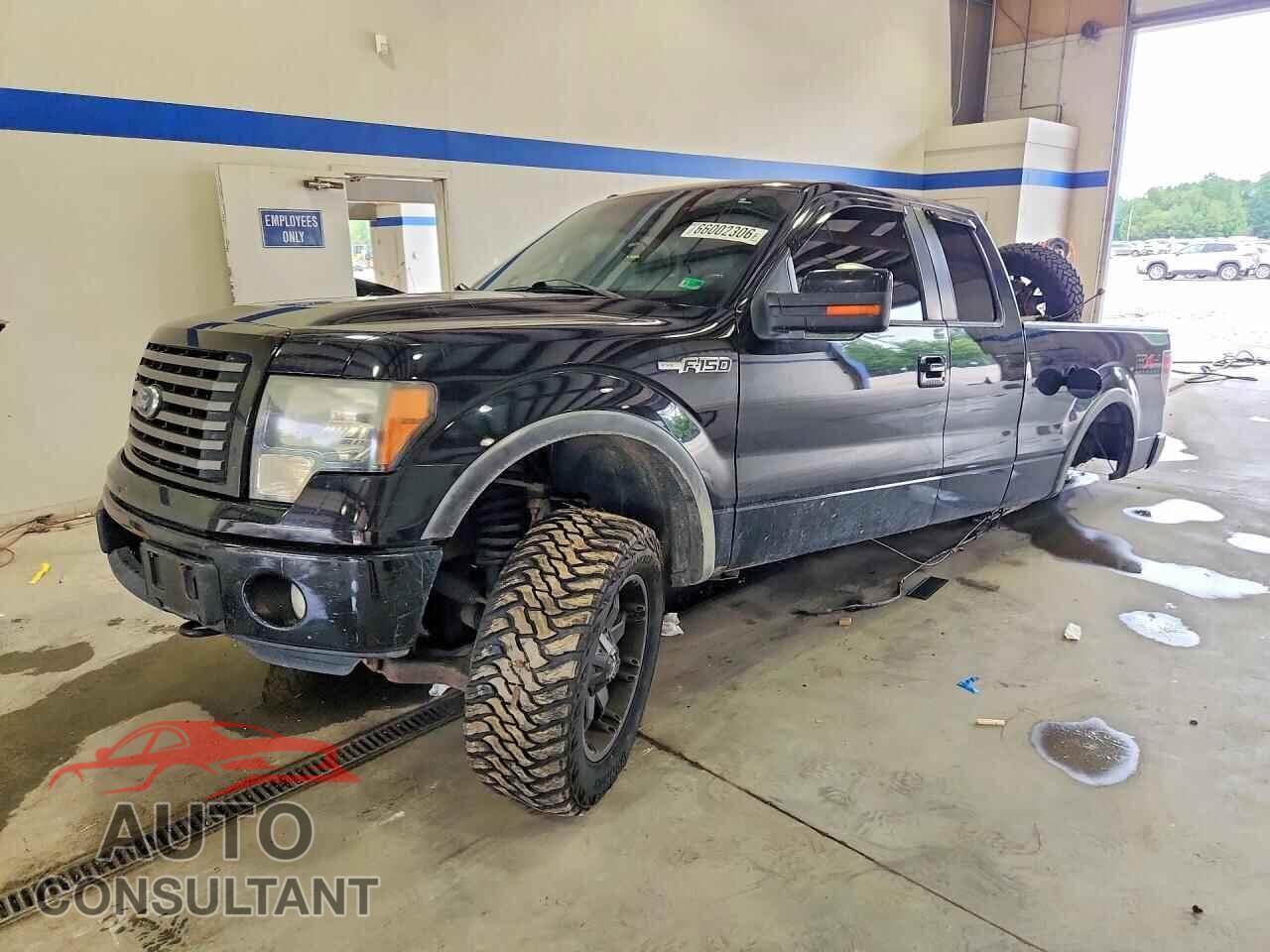 FORD F150 2011 - 1FTFX1EF5BFC47930