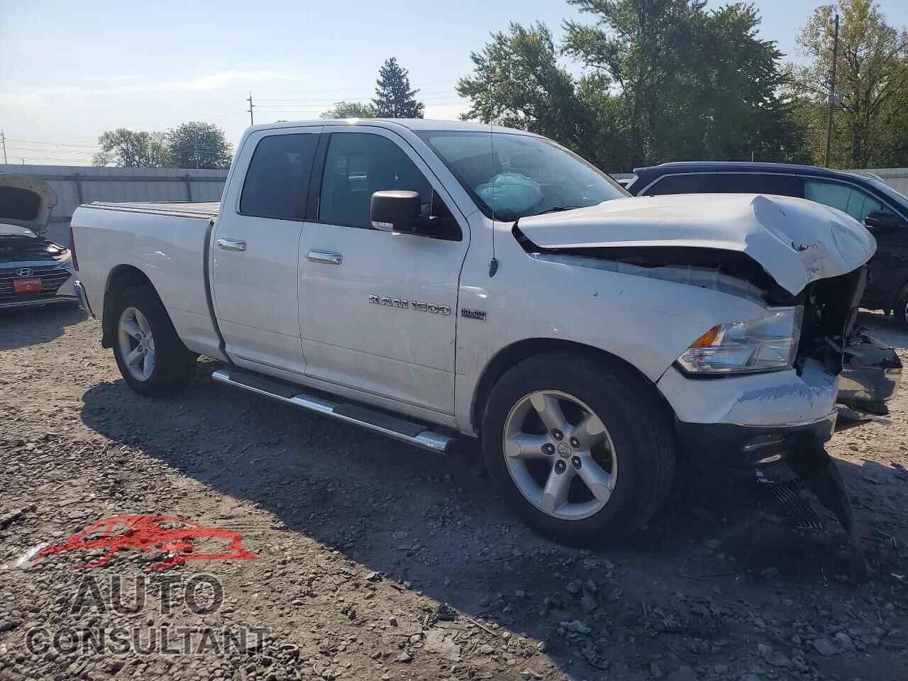 DODGE RAM 1500 2011 - 1D7RB1GT1BS579780