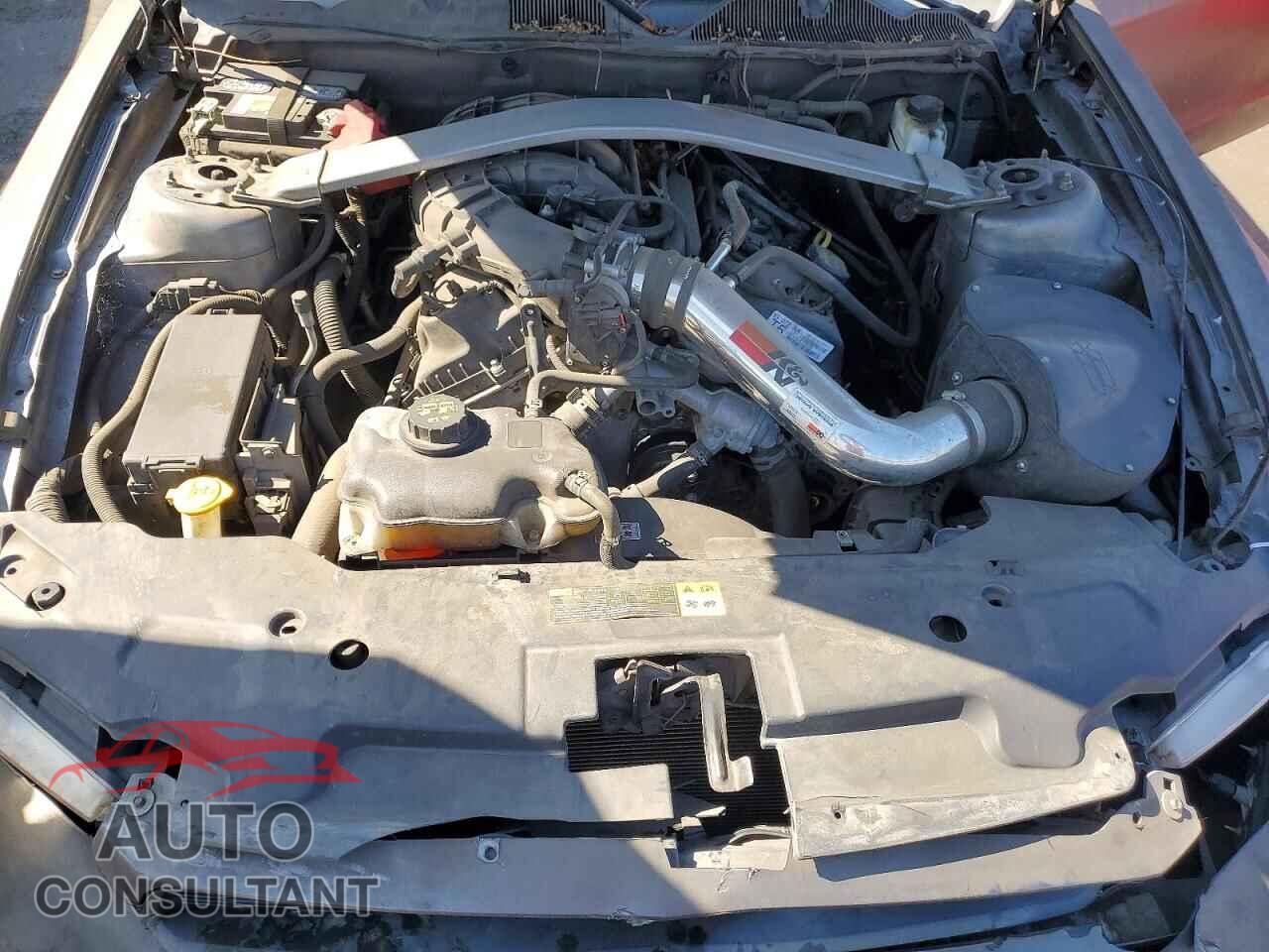 FORD MUSTANG 2011 - 1ZVBP8EM1B5120021