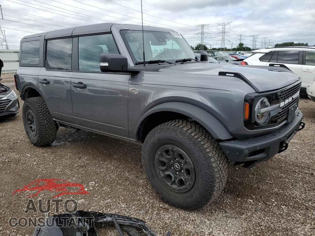 FORD BRONCO WIL 2024 - 1FMEE2BP5RLA51160