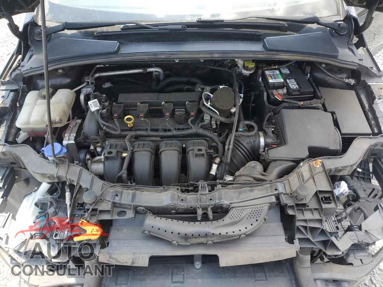 FORD FOCUS 2014 - 1FADP3F21EL457516