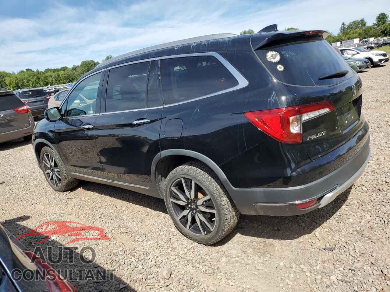 HONDA PILOT 2019 - 5FNYF6H6XKB036991