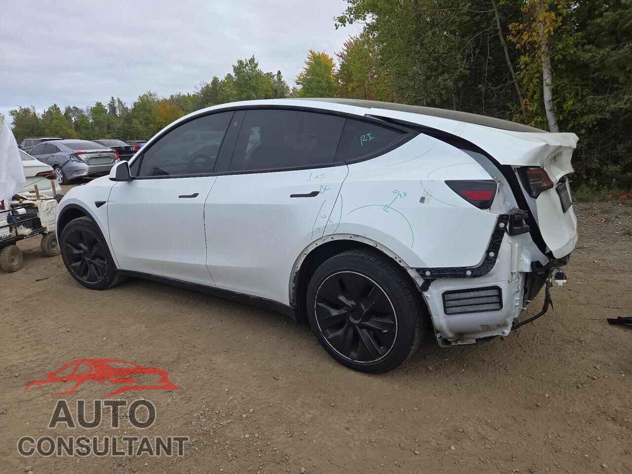 TESLA MODEL Y 2020 - 5YJYGDEE4LF045197