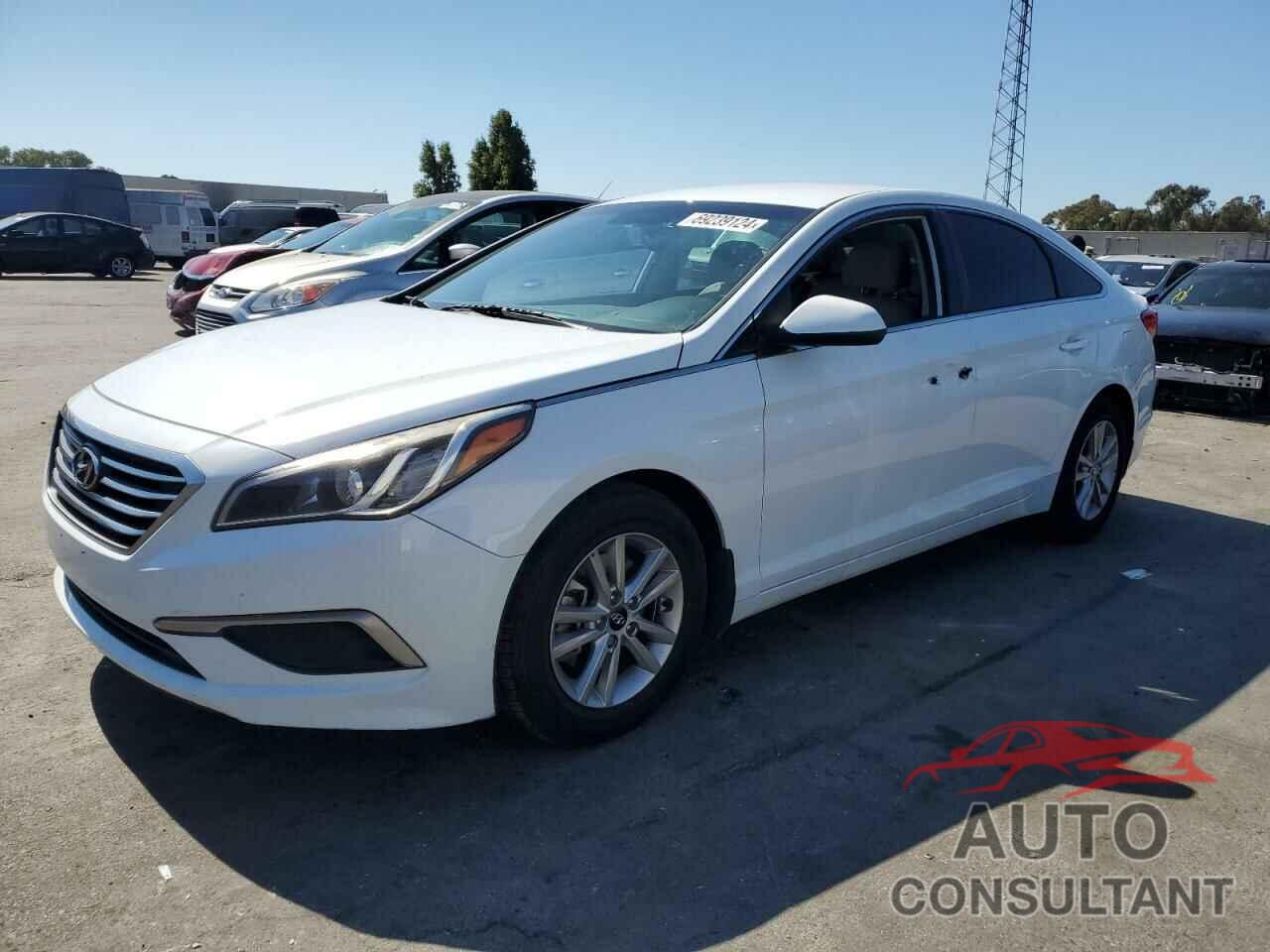 HYUNDAI SONATA 2016 - 5NPE24AF7GH336963