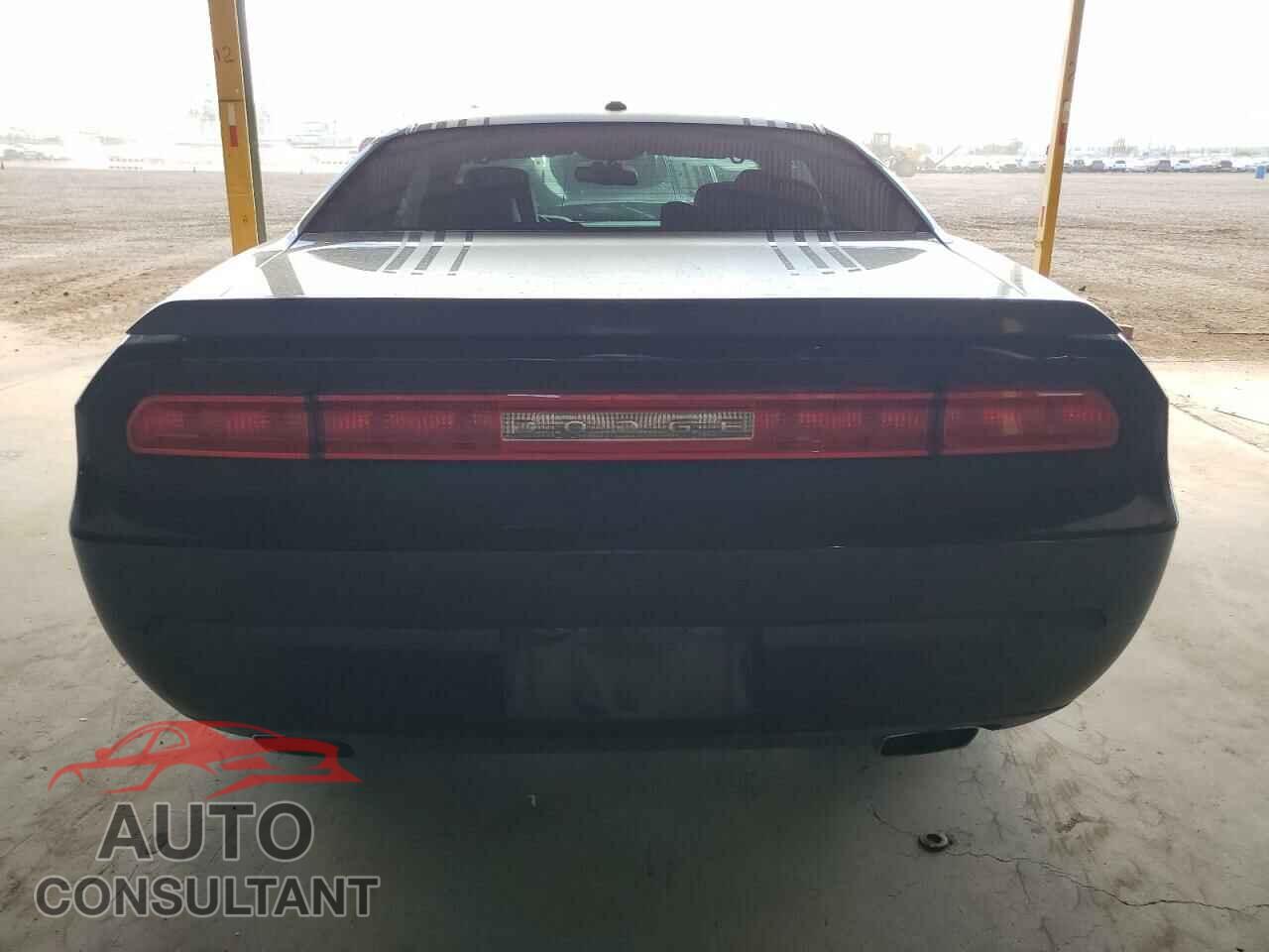 DODGE CHALLENGER 2014 - 2C3CDYBT2EH257319