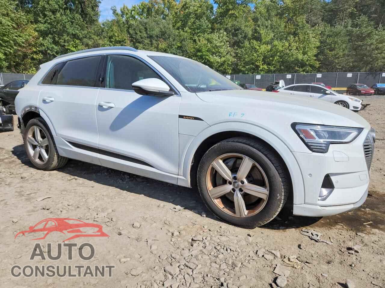 AUDI E-TRON 2019 - WA1LABGE6KB011996