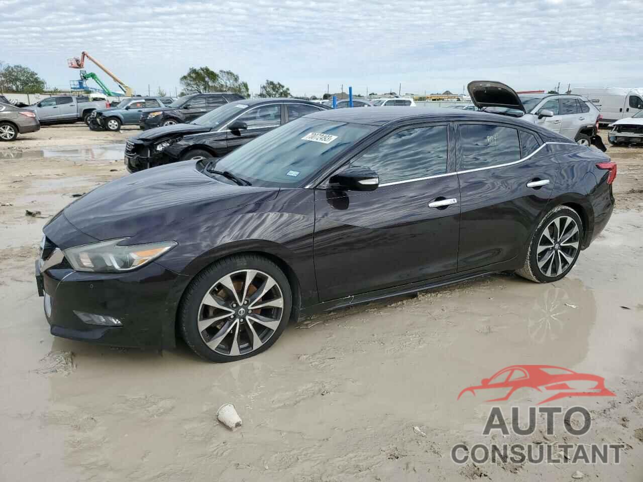 NISSAN MAXIMA 2016 - 1N4AA6AP2GC428862