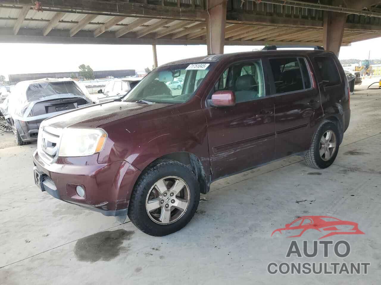HONDA PILOT 2009 - 5FNYF38419B002199