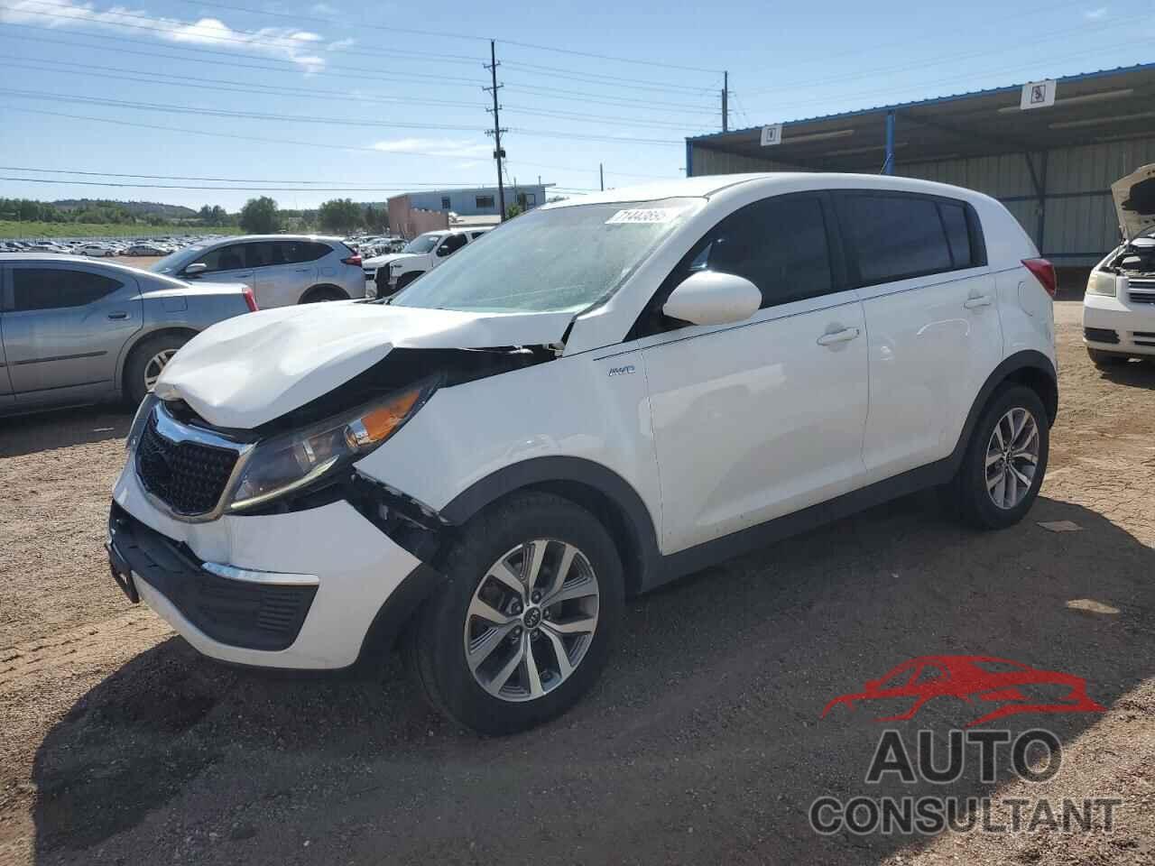 KIA SPORTAGE 2016 - KNDPBCAC9G7880524