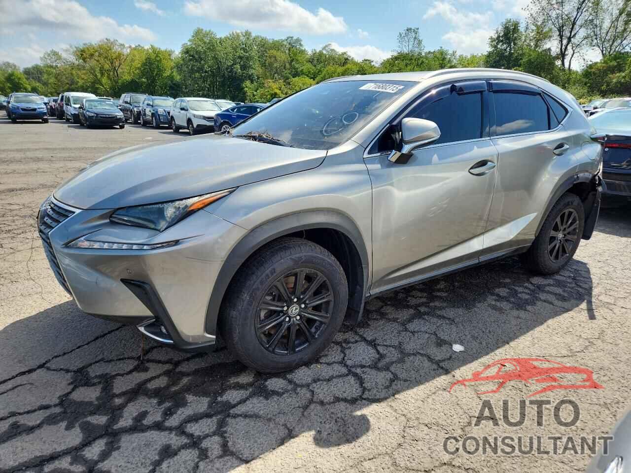 LEXUS NX 2019 - JTJBARBZ3K2183341