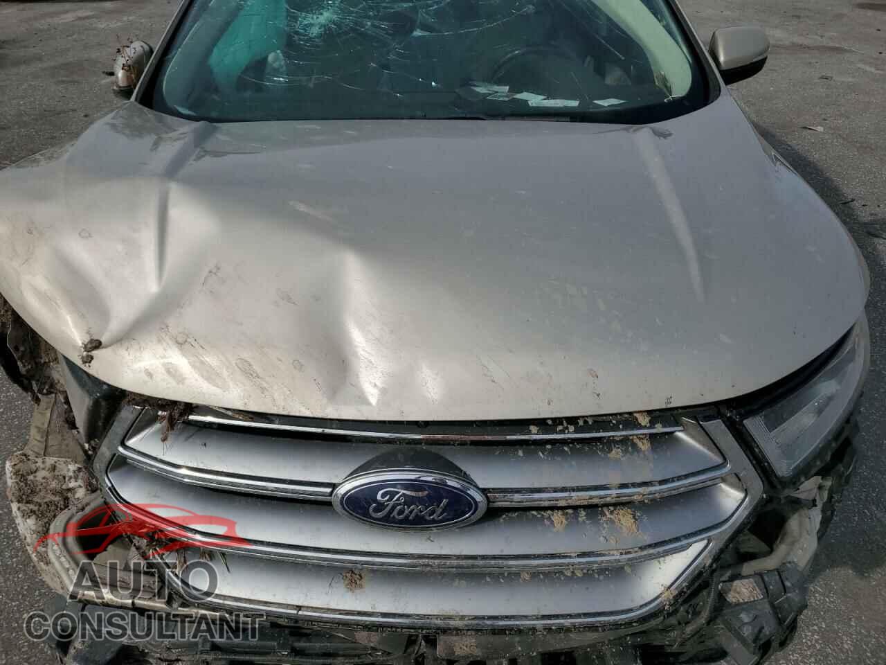 FORD EDGE 2017 - 2FMPK3K80HBC01223