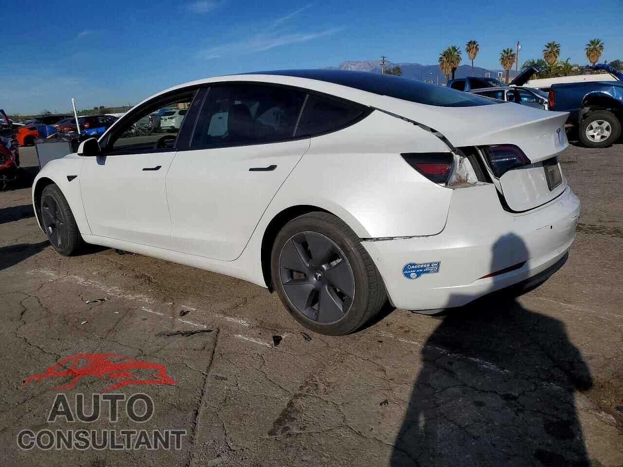 TESLA MODEL 3 2021 - 5YJ3E1EA2MF873746