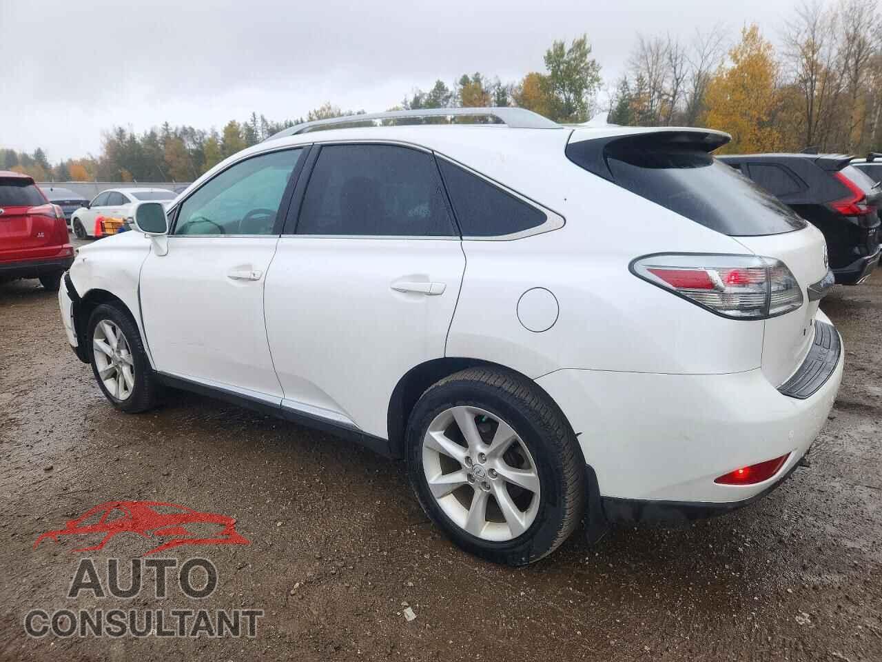 LEXUS RX350 2011 - 2T2BK1BA1BC085384
