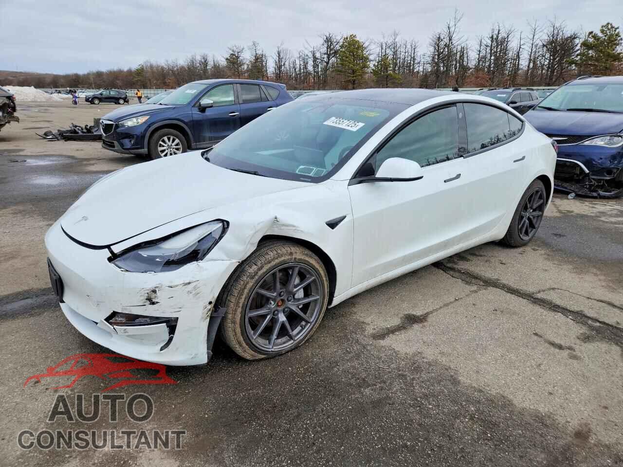 TESLA MODEL 3 2022 - 5YJ3E1EB2NF228525