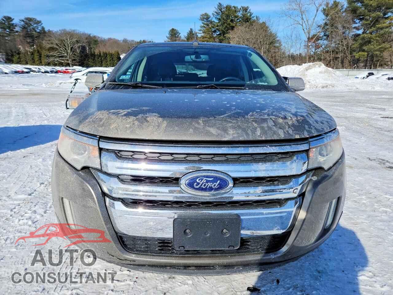 FORD EDGE 2014 - 2FMDK4JC9EBB09571
