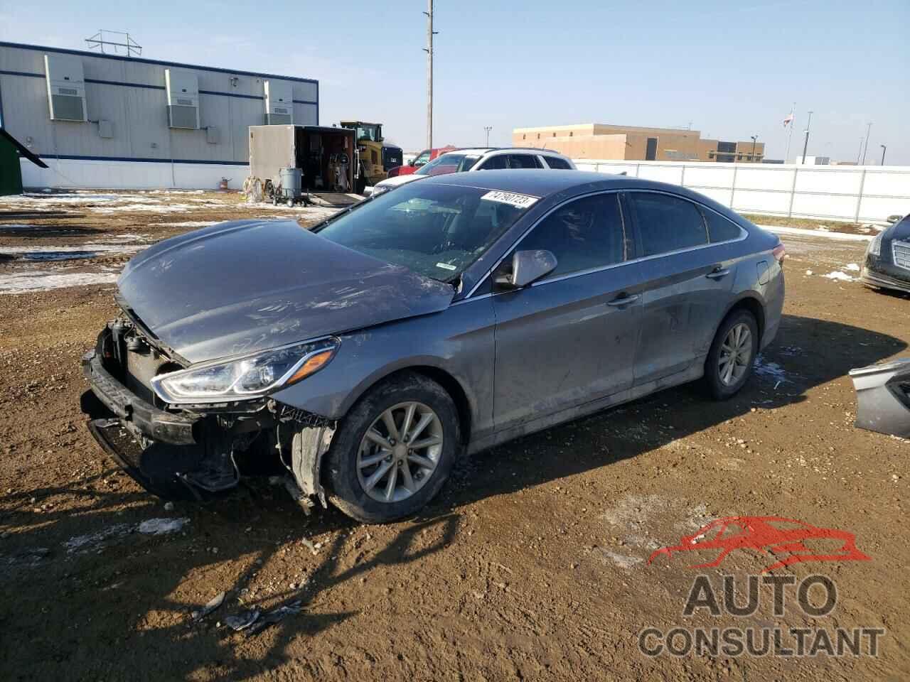 HYUNDAI SONATA 2019 - 5NPE24AF7KH768588
