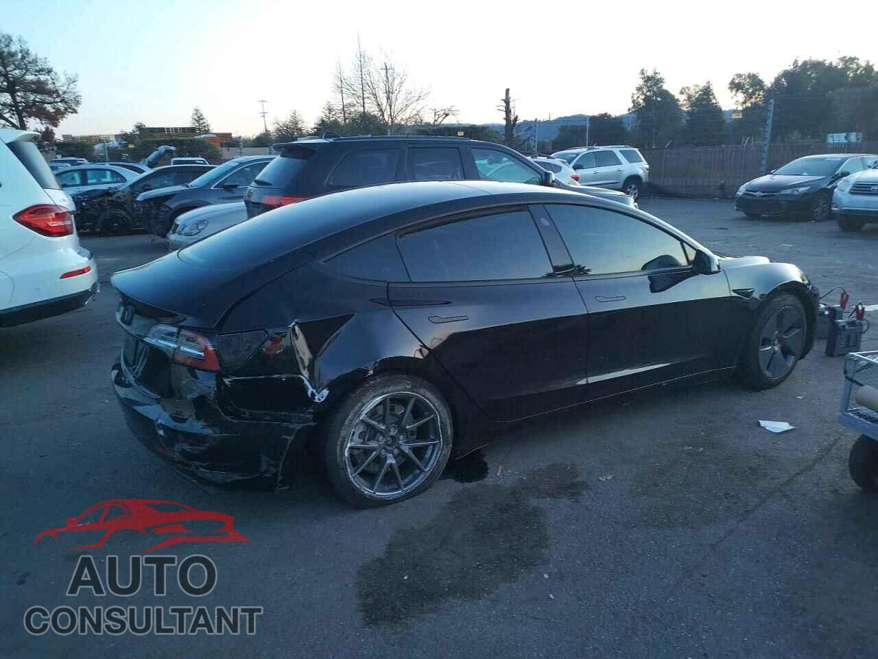 TESLA MODEL 3 2023 - 5YJ3E1EA4PF498155