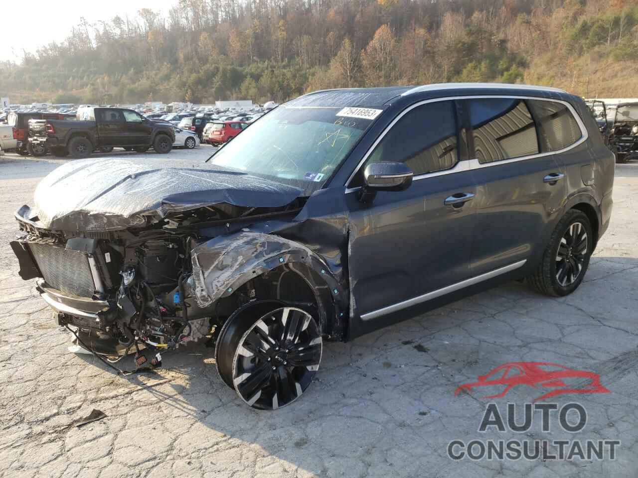 KIA TELLURIDE 2024 - 5XYP5DGC2RG437190