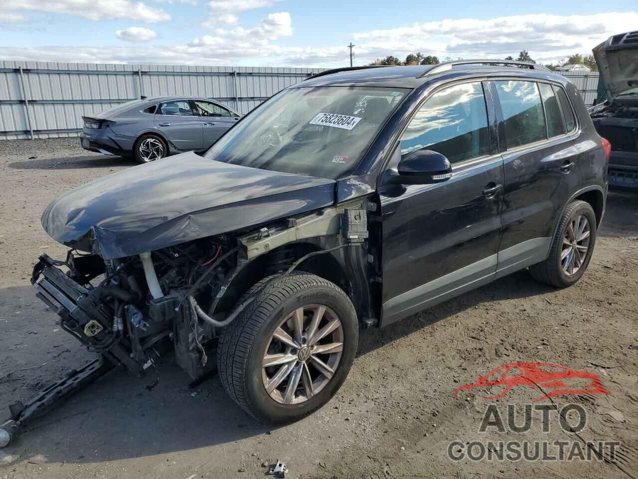 VOLKSWAGEN TIGUAN 2017 - WVGBV7AX9HK049904