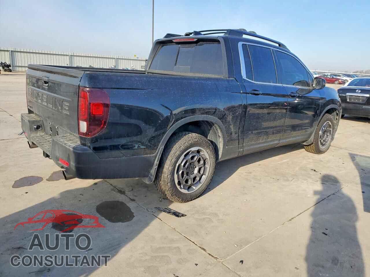 HONDA RIDGELINE 2024 - 5FPYK3F56RB013083