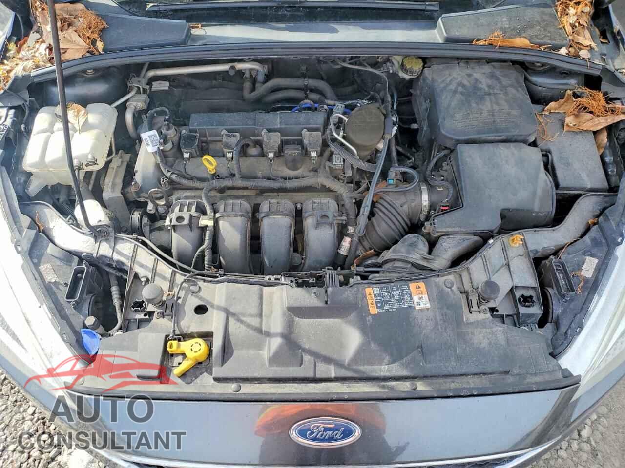FORD FOCUS 2016 - 1FADP3F27GL308028