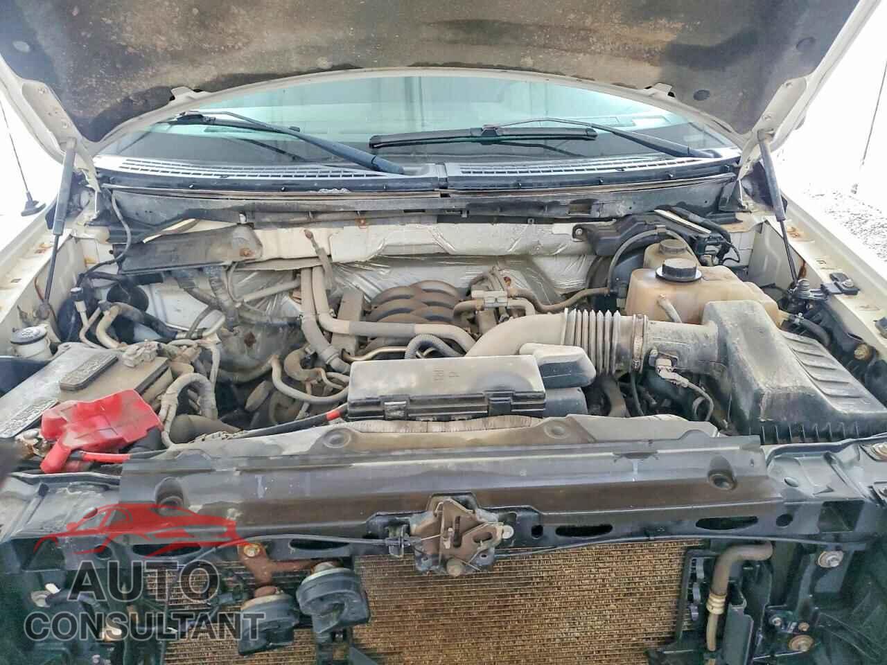 FORD F150 2012 - 1FTFX1EF9CFB88527