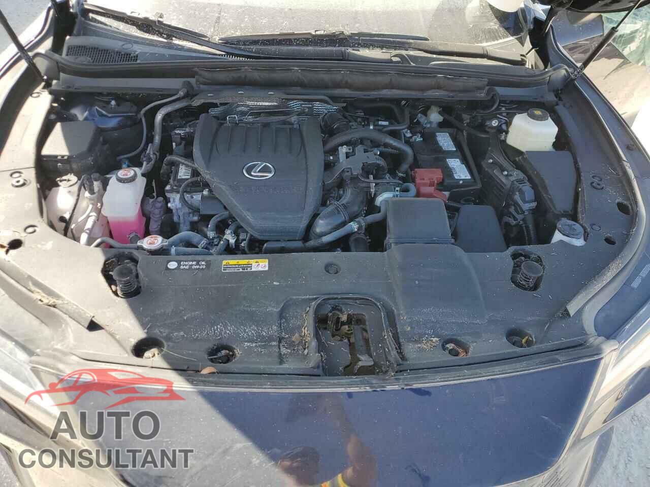 LEXUS RX350 2024 - 2T2BAMBA4RC027400