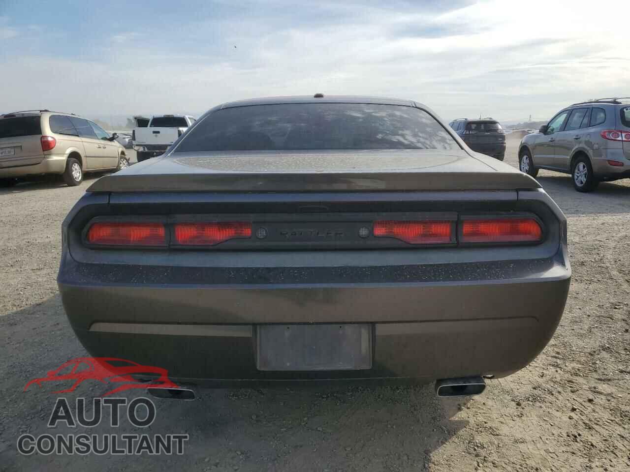 DODGE CHALLENGER 2014 - 2C3CDYBT0EH257576