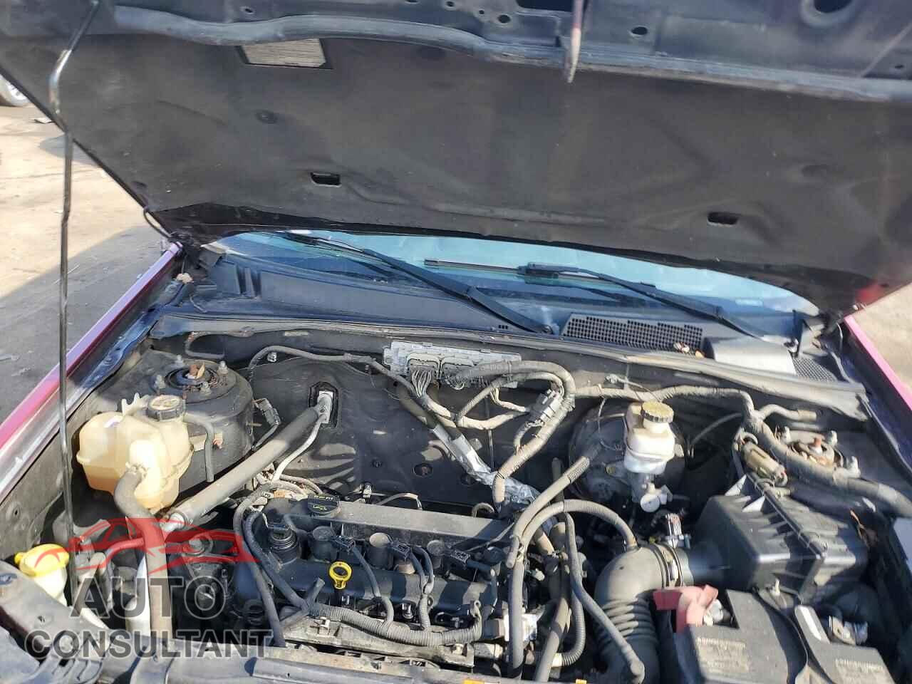 FORD ESCAPE 2010 - 1FMCU0D72AKA11897